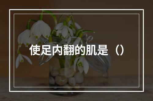 使足内翻的肌是（）