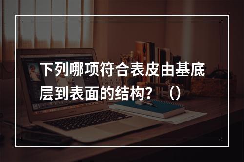 下列哪项符合表皮由基底层到表面的结构？（）