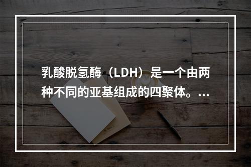 乳酸脱氢酶（LDH）是一个由两种不同的亚基组成的四聚体。假