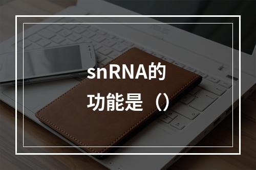 snRNA的功能是（）