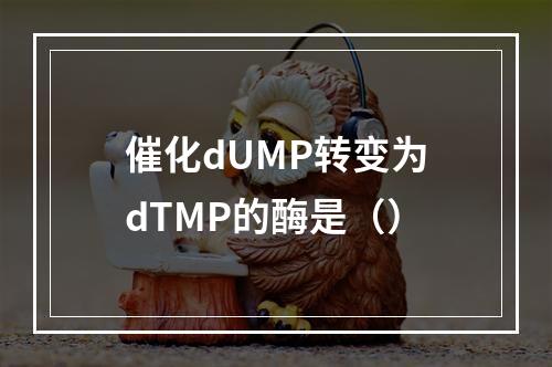 催化dUMP转变为dTMP的酶是（）