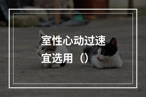 室性心动过速宜选用（）