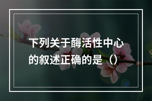 下列关于酶活性中心的叙述正确的是（）