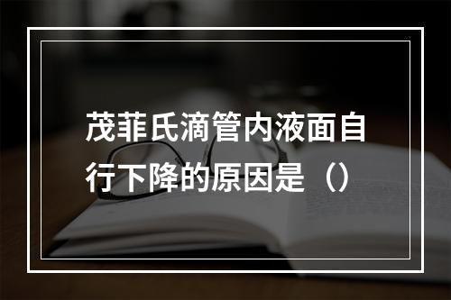 茂菲氏滴管内液面自行下降的原因是（）