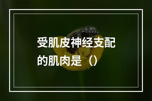 受肌皮神经支配的肌肉是（）