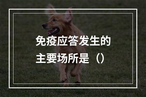 免疫应答发生的主要场所是（）