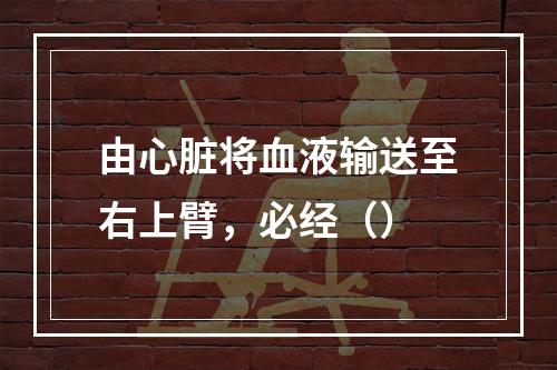 由心脏将血液输送至右上臂，必经（）