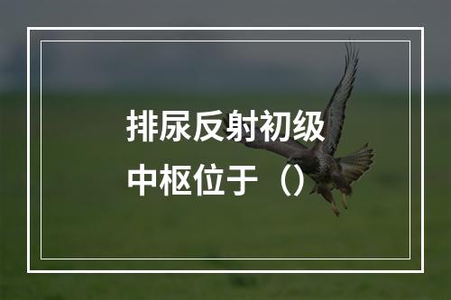 排尿反射初级中枢位于（）