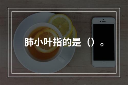 肺小叶指的是（）。