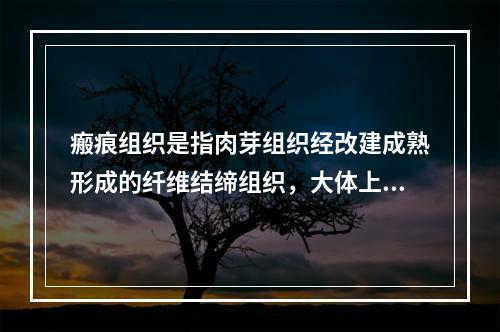 瘢痕组织是指肉芽组织经改建成熟形成的纤维结缔组织，大体上局部