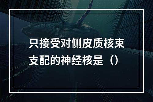 只接受对侧皮质核束支配的神经核是（）