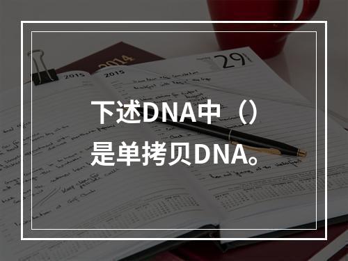 下述DNA中（）是单拷贝DNA。