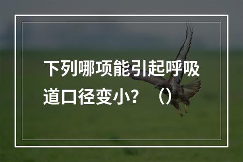 下列哪项能引起呼吸道口径变小？（）