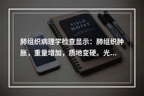 肺组织病理学检查显示：肺组织肿胀，重量增加，质地变硬。光镜下