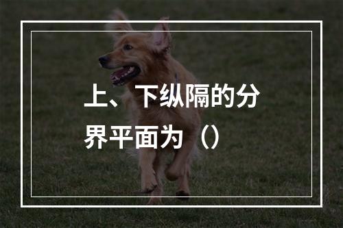 上、下纵隔的分界平面为（）