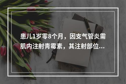 患儿1岁零8个月，因支气管炎需肌内注射靑霉素，其注射部位最好