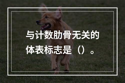 与计数肋骨无关的体表标志是（）。