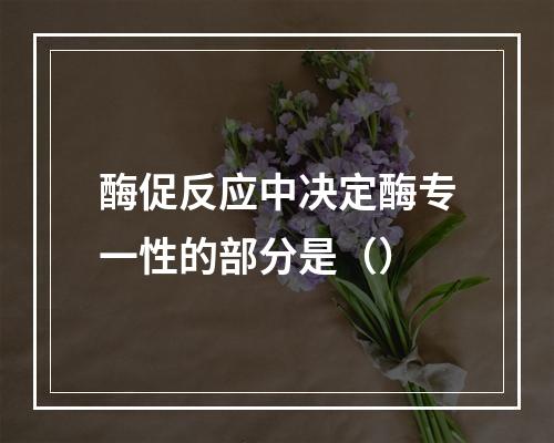 酶促反应中决定酶专一性的部分是（）