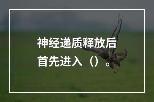 神经递质释放后首先进入（）。