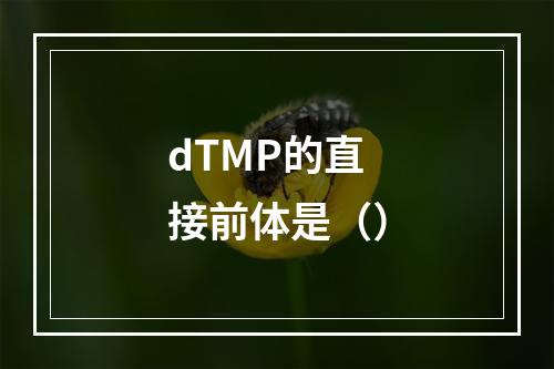 dTMP的直接前体是（）