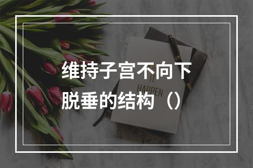 维持子宫不向下脱垂的结构（）