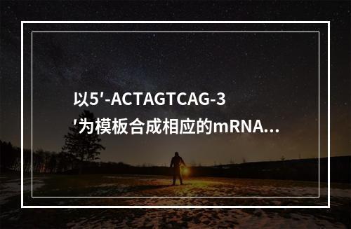 以5′-ACTAGTCAG-3′为模板合成相应的mRNA链的