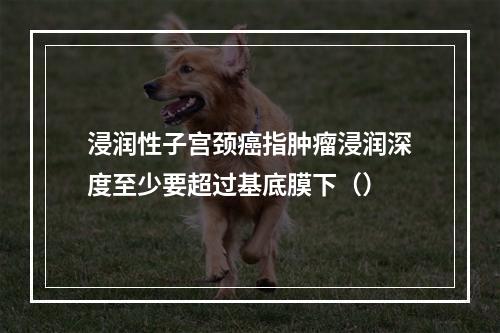 浸润性子宫颈癌指肿瘤浸润深度至少要超过基底膜下（）