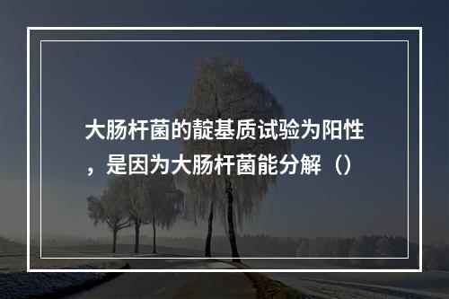 大肠杆菌的靛基质试验为阳性，是因为大肠杆菌能分解（）