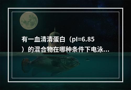 有一血清清蛋白（pI=6.85）的混合物在哪种条件下电泳分离