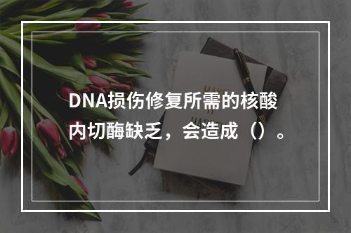 DNA损伤修复所需的核酸内切酶缺乏，会造成（）。