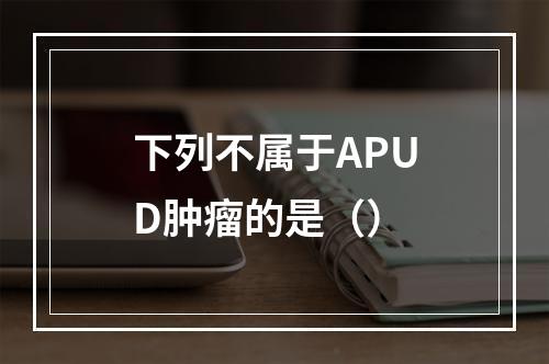 下列不属于APUD肿瘤的是（）