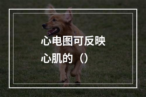 心电图可反映心肌的（）