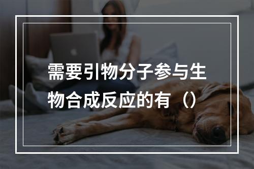 需要引物分子参与生物合成反应的有（）