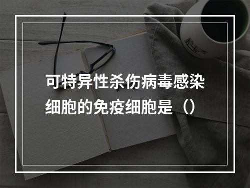 可特异性杀伤病毒感染细胞的免疫细胞是（）