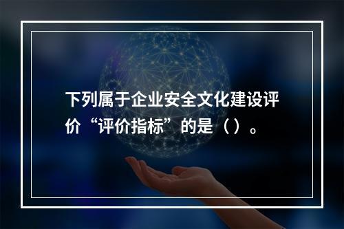 下列属于企业安全文化建设评价“评价指标”的是（	）。