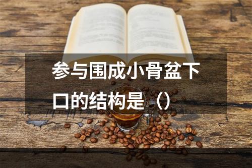 参与围成小骨盆下口的结构是（）