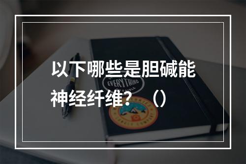 以下哪些是胆碱能神经纤维？（）