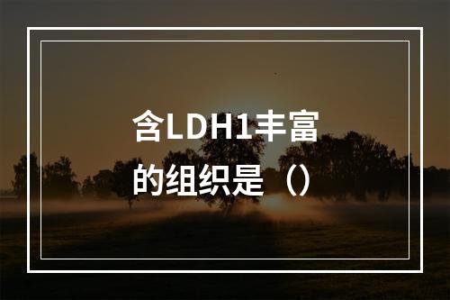 含LDH1丰富的组织是（）