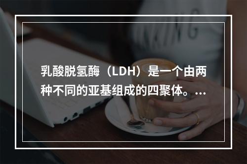 乳酸脱氢酶（LDH）是一个由两种不同的亚基组成的四聚体。假