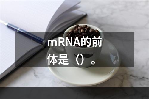 mRNA的前体是（）。