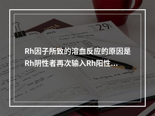 Rh因子所致的溶血反应的原因是Rh阴性者再次输入Rh阳性者的