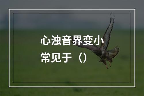 心浊音界变小常见于（）