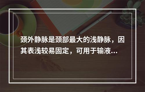 颈外静脉是颈部最大的浅静脉，因其表浅较易固定，可用于输液，但