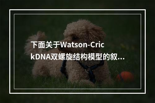 下面关于Watson-CrickDNA双螺旋结构模型的叙述中