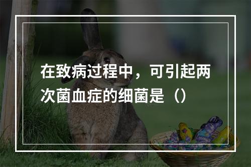 在致病过程中，可引起两次菌血症的细菌是（）