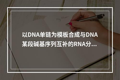 以DNA单链为模板合成与DNA某段碱基序列互补的RNA分子（