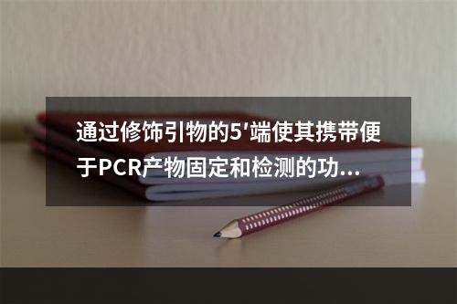 通过修饰引物的5′端使其携带便于PCR产物固定和检测的功能基