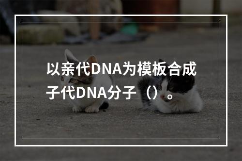 以亲代DNA为模板合成子代DNA分子（）。