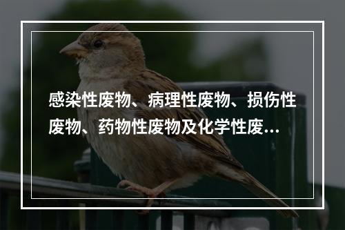 感染性废物、病理性废物、损伤性废物、药物性废物及化学性废物等