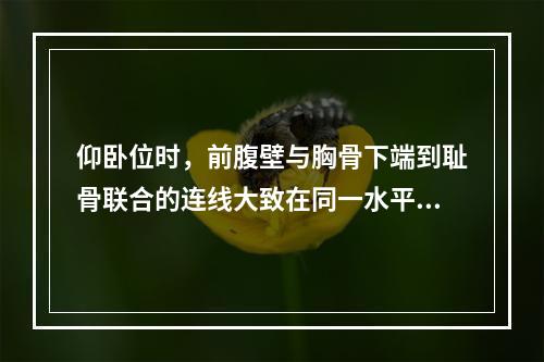 仰卧位时，前腹壁与胸骨下端到耻骨联合的连线大致在同一水平面上